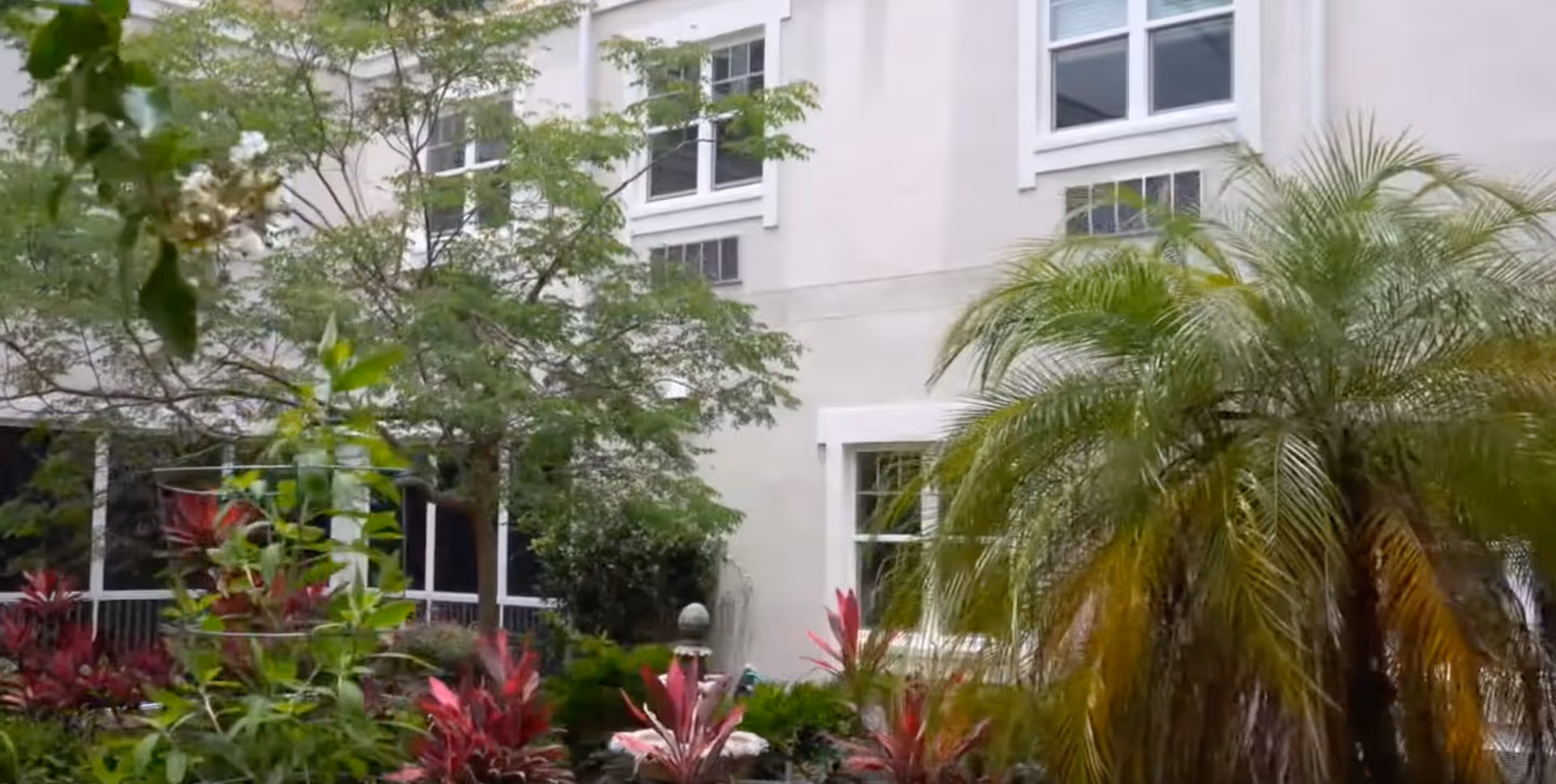 Exterior view of a building with multiple windows surrounded by lush greenery including palm trees and other plants.