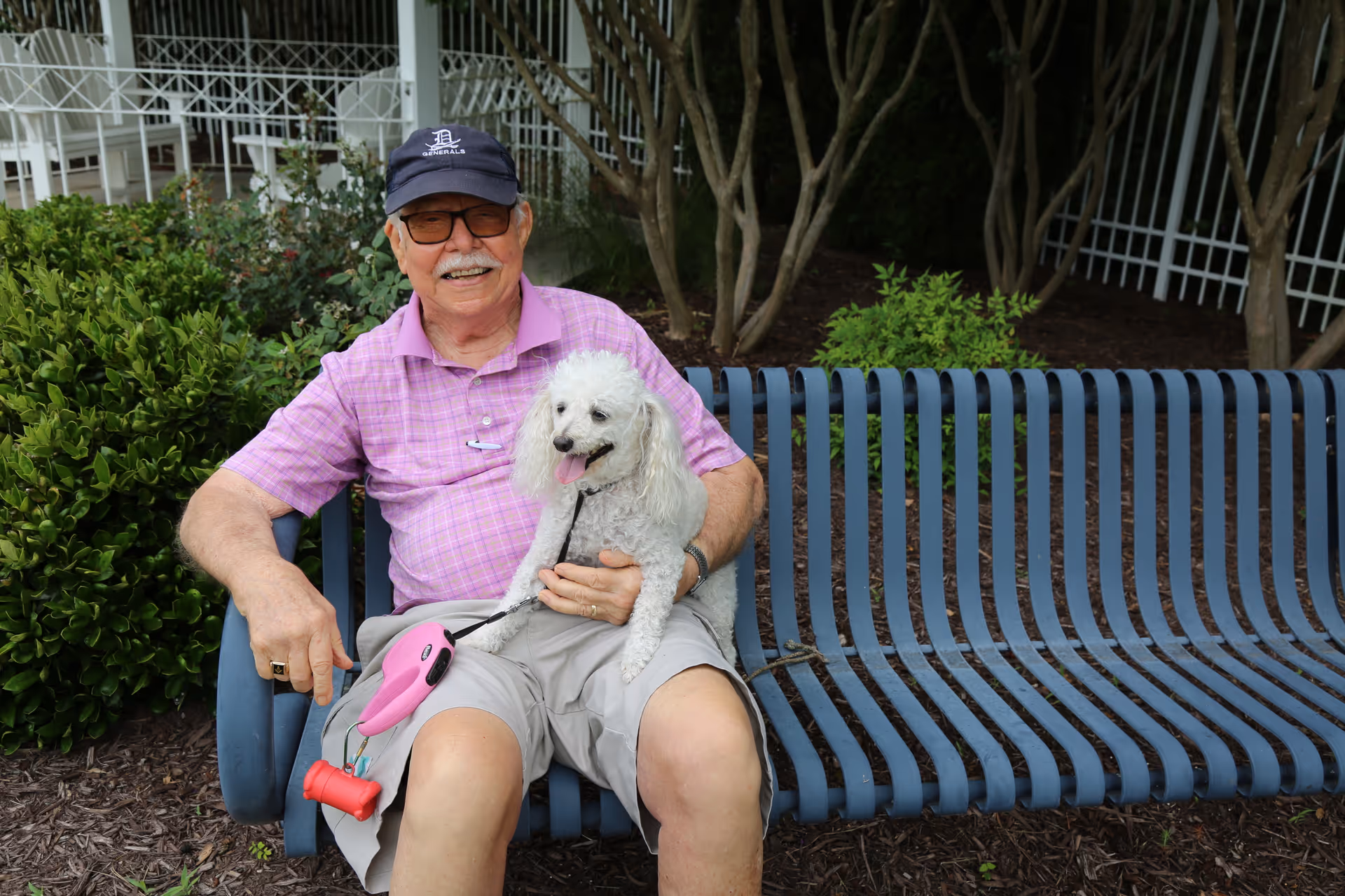 An elderly man wearing a purple checkered shirt, beige shorts, a navy blue cap, and glasses is sitting on a blue metal bench outdoors. He is smiling and holding a small white poodle dog on his lap. The dog has its tongue out and is on a leash with a pink handle. Behind them are green bushes, trees, and a white fence.