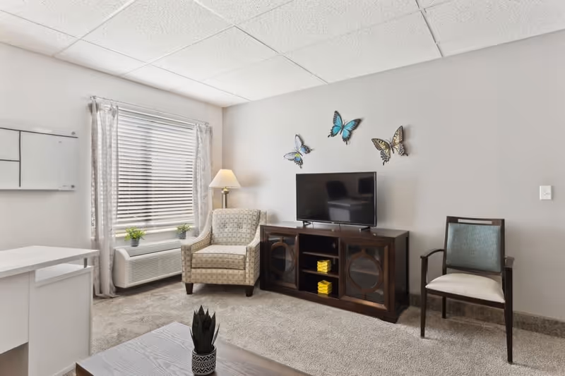 A cozy living room area with a beige armchair, a wooden TV stand with a flat-screen television, and a wooden chair with a green cushion. There are three decorative butterfly wall hangings above the TV. A window with blinds and light curtains is on the left side, next to a floor lamp. A small potted plant is on a wooden coffee table in the foreground.