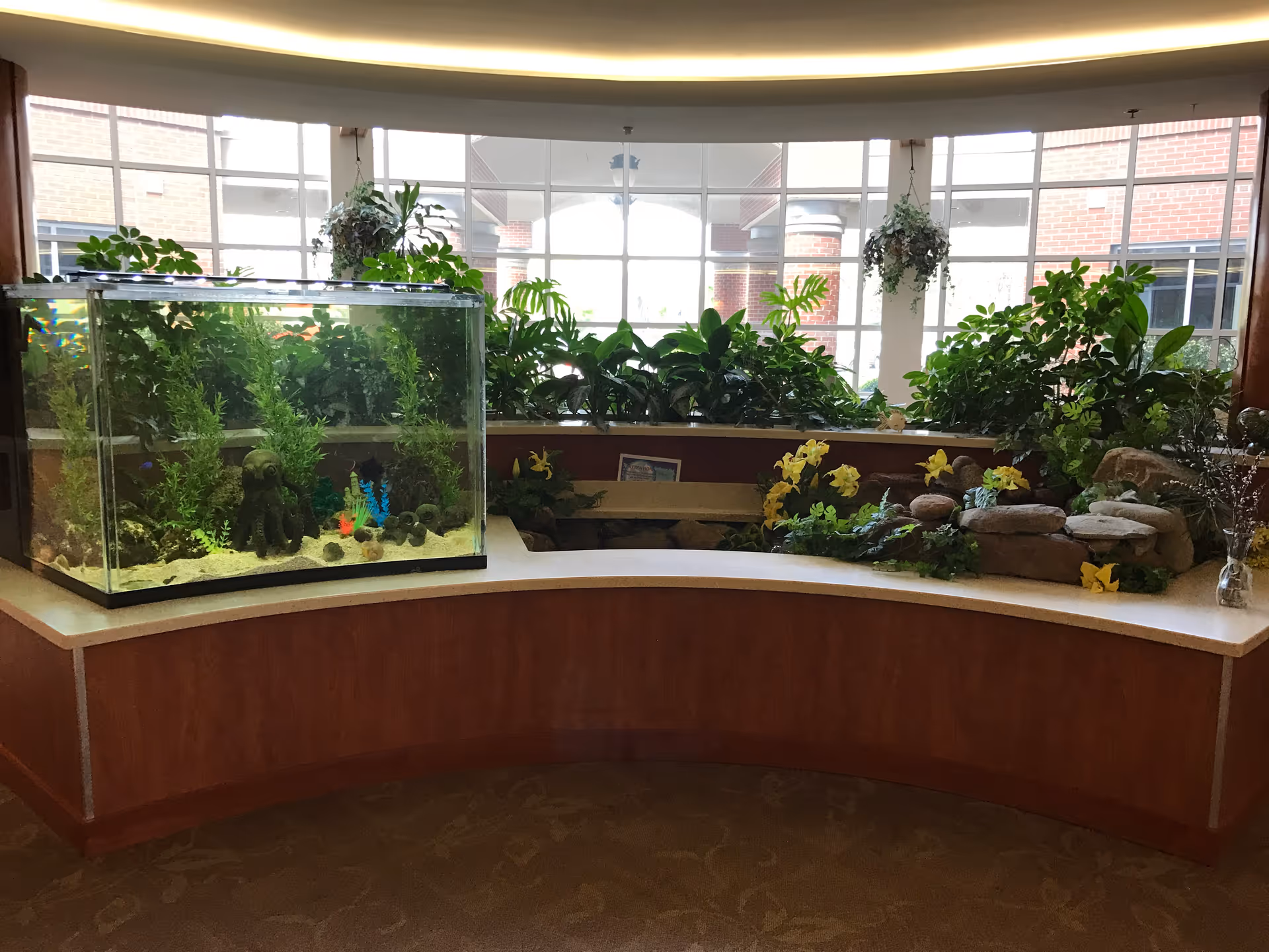 Indoor garden area with a large fish tank on the left filled with aquatic plants and decorations. Behind the tank is a planter with various green plants and yellow flowers, set against large windows letting in natural light.