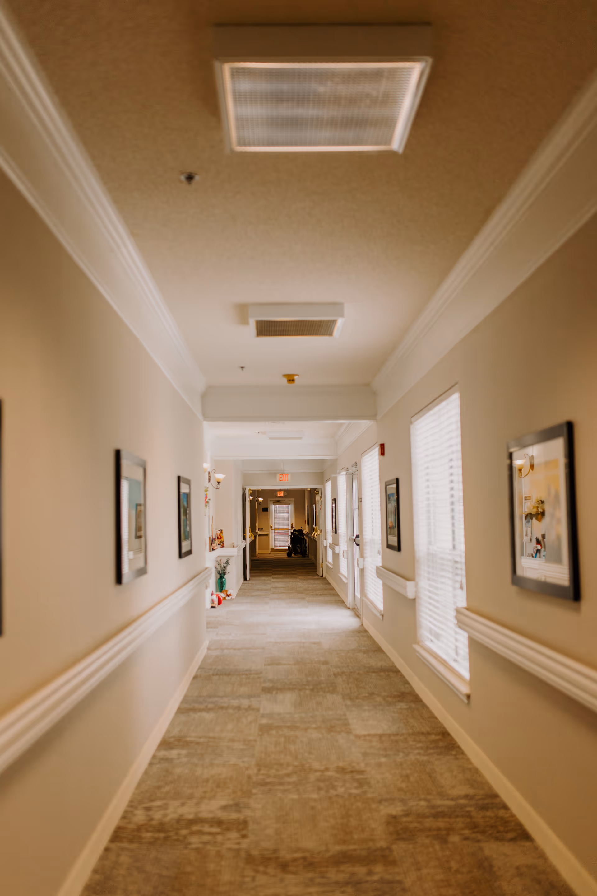Carpeted, well-lit interior hallway with framed art, handrails, and windows in a senior living facility.