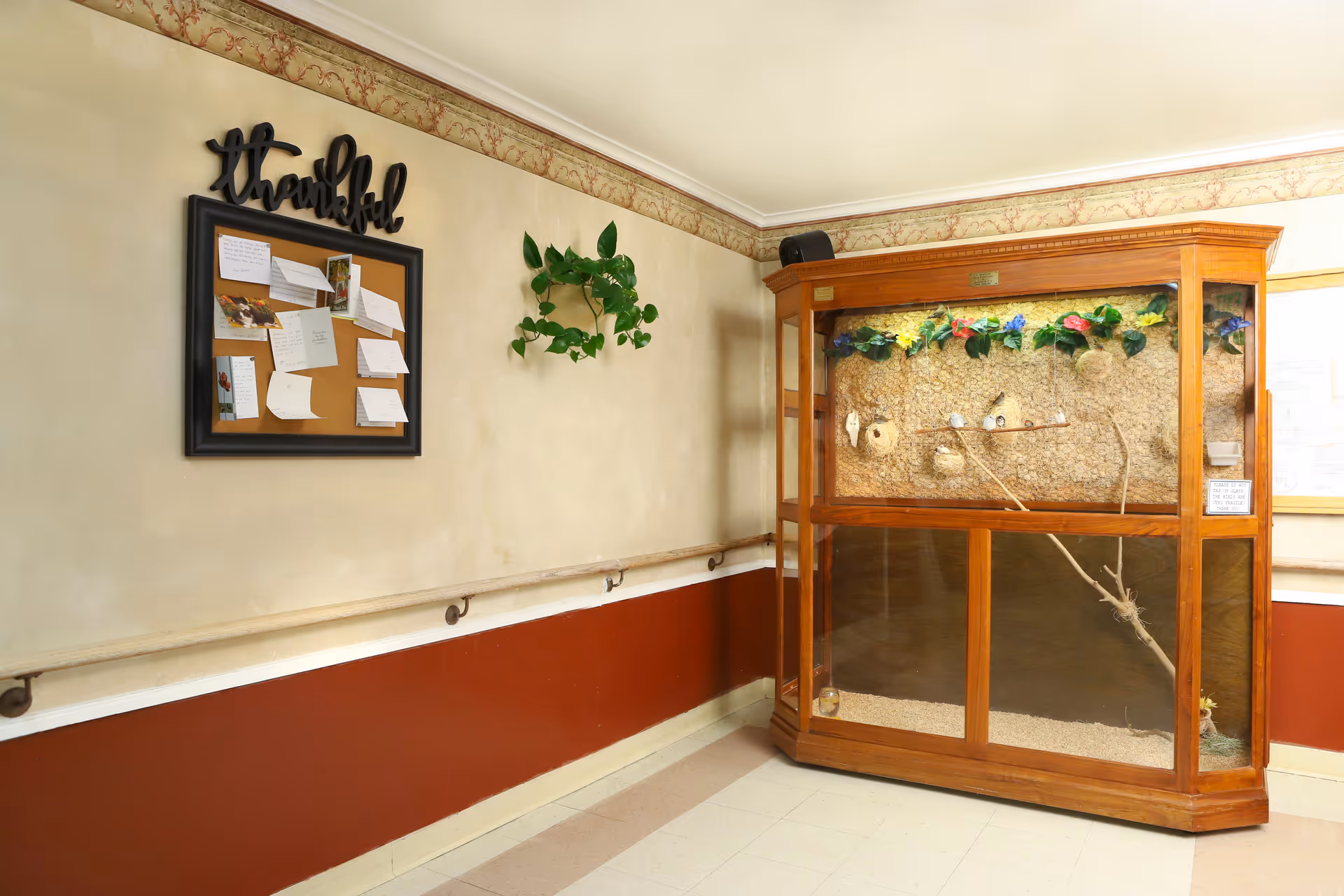 Indoor hallway corner with a large wooden bird display case containing small birds and nests, a bulletin board with notes under a decorative 'thankful' sign, and a green potted plant mounted on the wall.