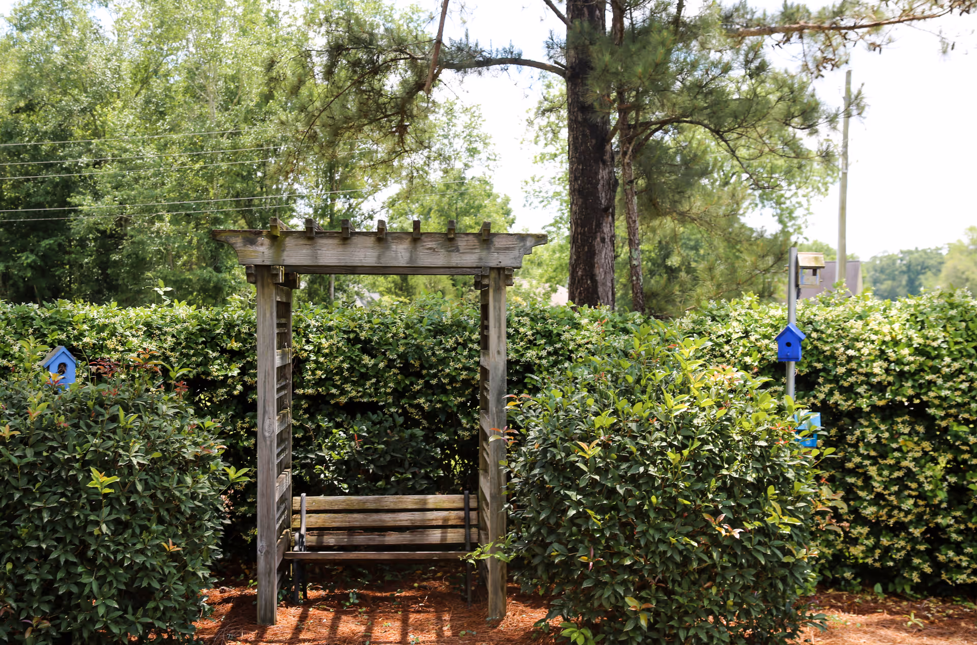 Wooden garden arbor with a bench surrounded by green hedges, shrubs, and blue birdhouses.