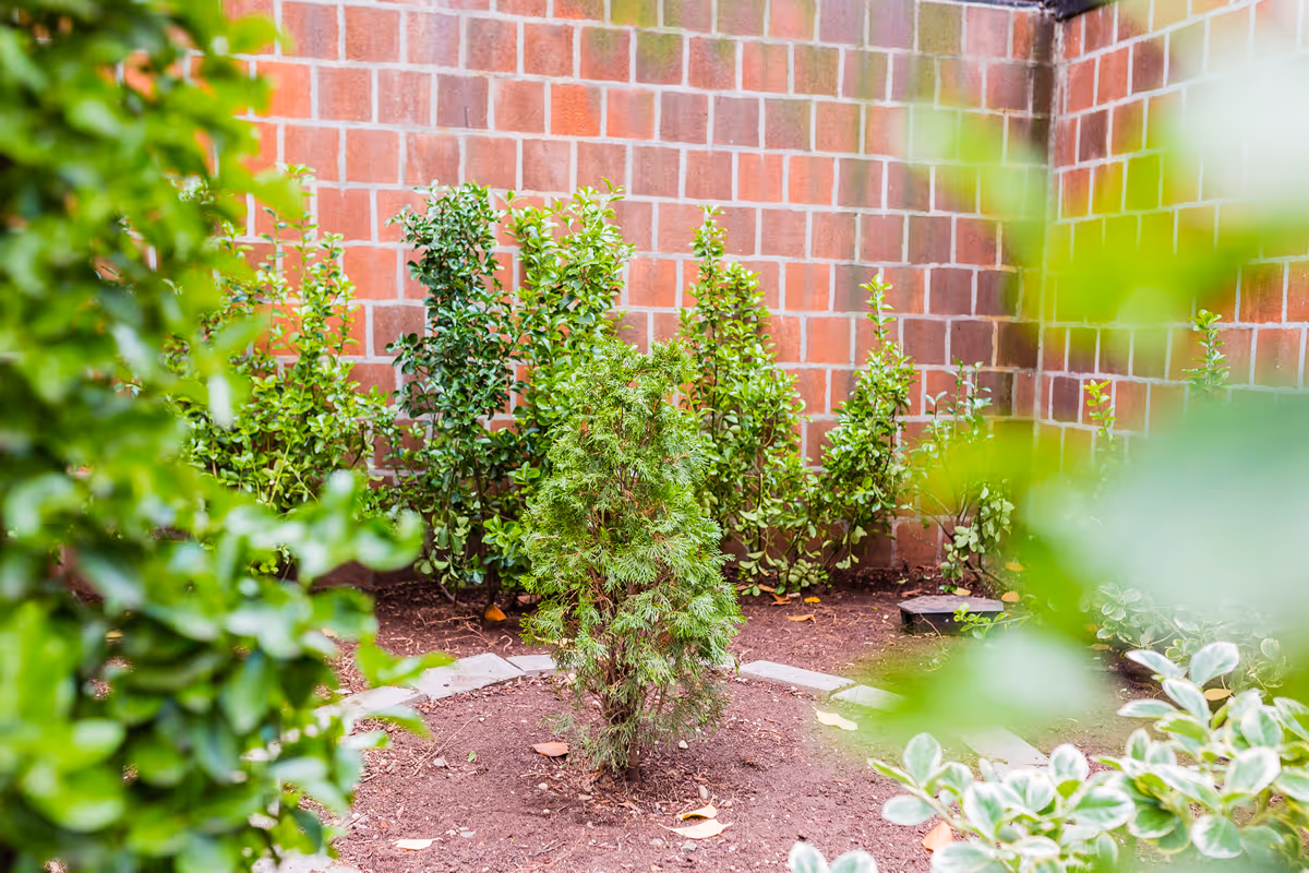 A small garden area with various green shrubs and plants surrounded by a brick wall.