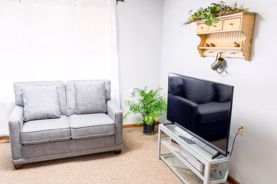 Bright living room with a gray loveseat, flat-screen TV on a glass stand, potted plant, and decorative wall shelf.