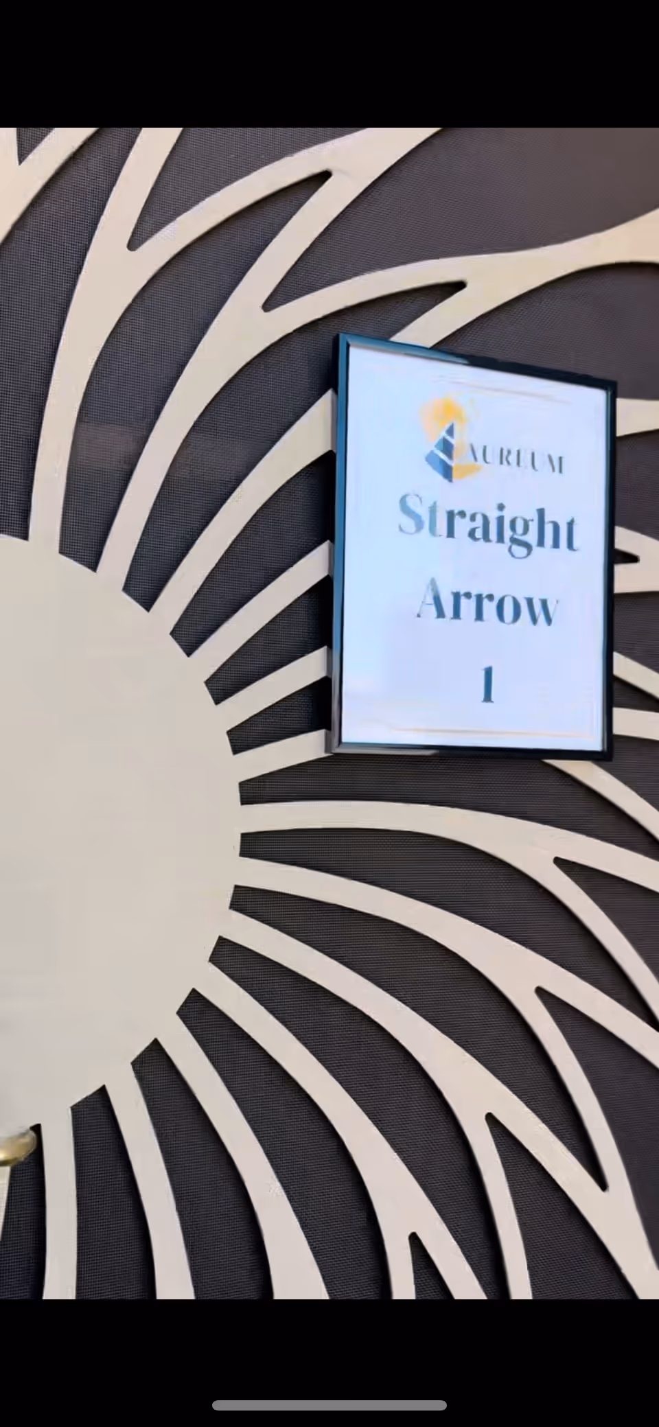 A decorative door with a sunburst pattern and a framed sign that reads 'Aureum Straight Arrow 1'.