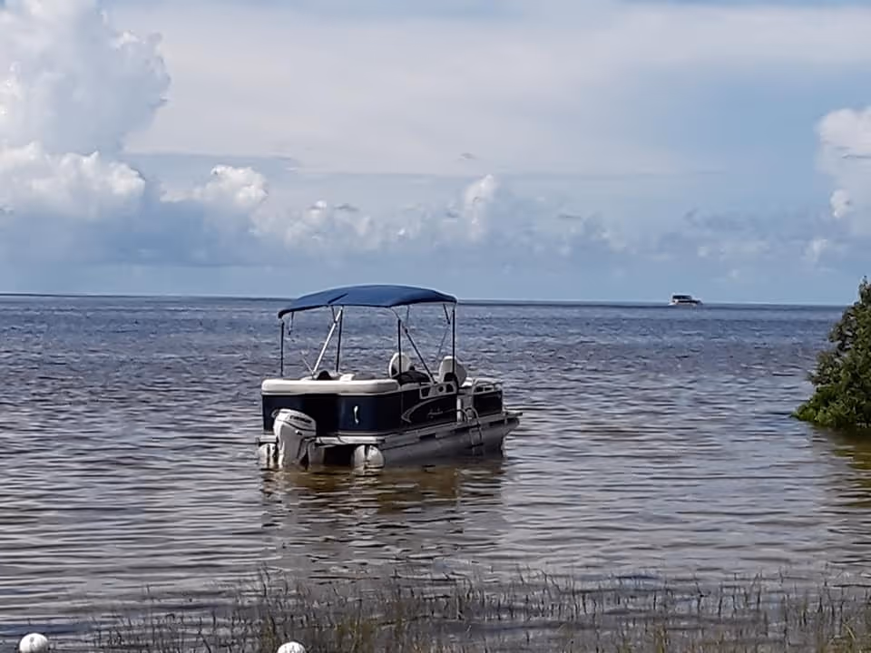 A pontoon boat with a blue canopy floating on calm water under a partly cloudy sky, with some greenery visible on the right side of the image.