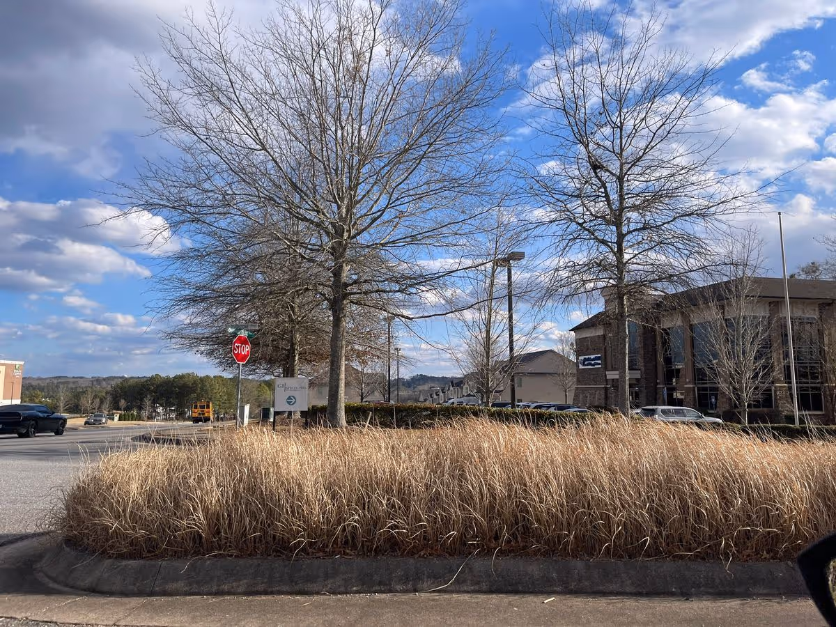Parking lot and landscaped median with tall dry grasses and leafless trees in front of a brick building under a partly cloudy sky.