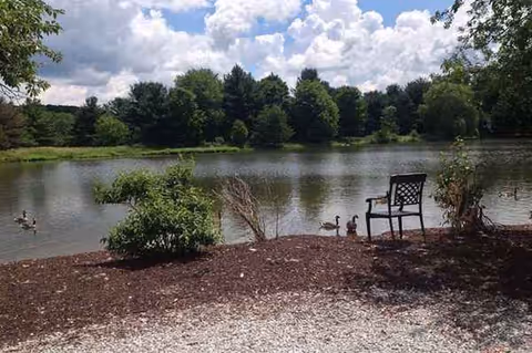 A bench by a lake with ducks, surrounded by trees under a cloudy sky.