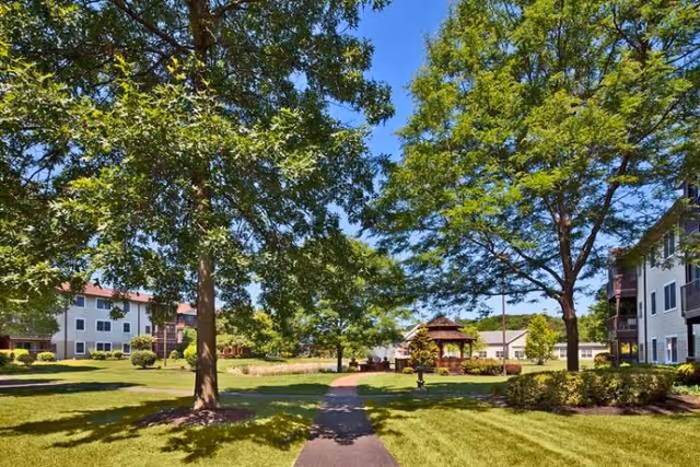 A sunny outdoor area at Monroe Village featuring a paved walkway leading through a grassy lawn with large leafy trees providing shade. There are multi-story residential buildings on either side and a wooden gazebo in the background under a clear blue sky.