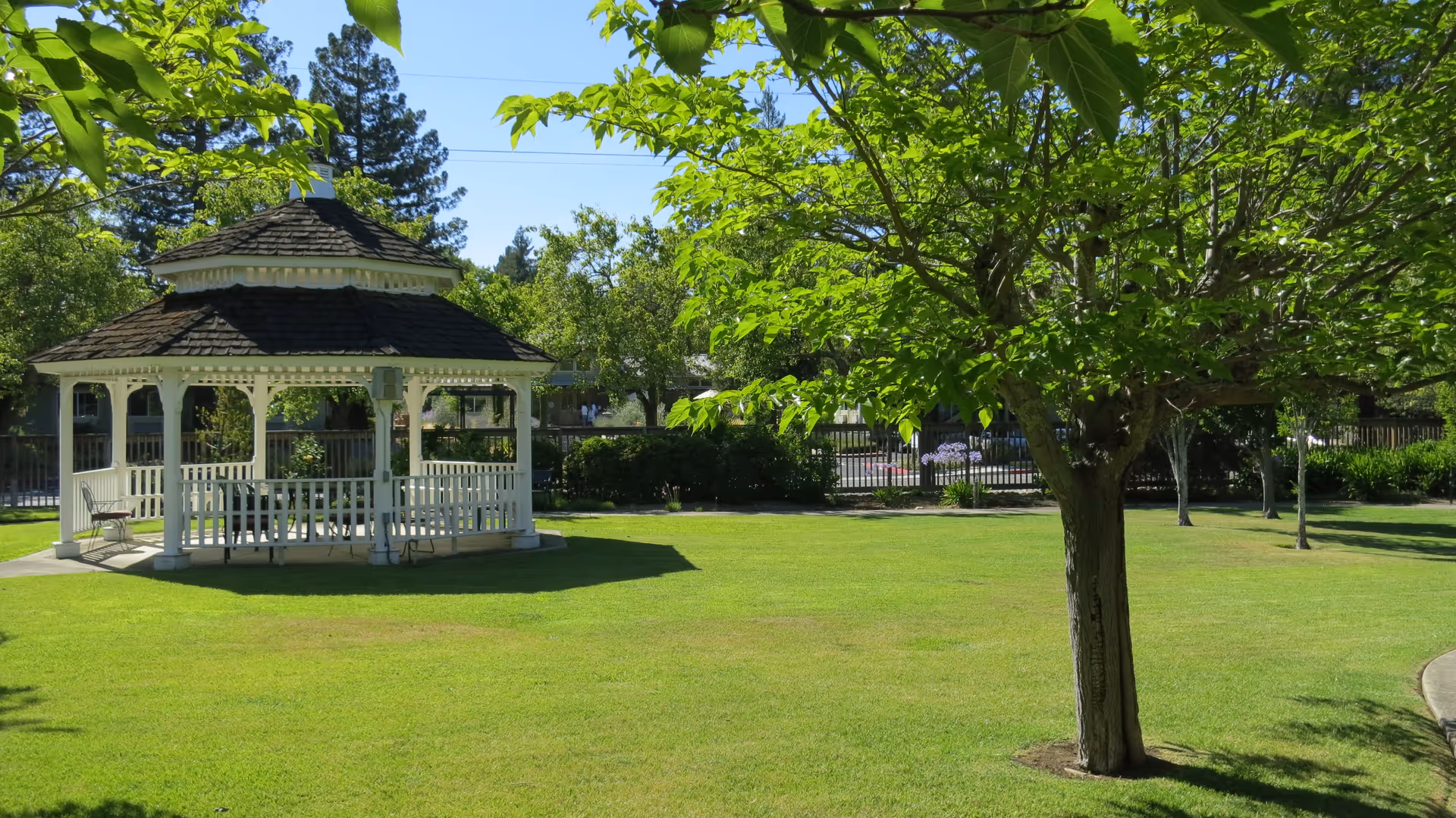 White wooden gazebo on a well-manicured lawn with trees, including a shaded tree in the foreground.