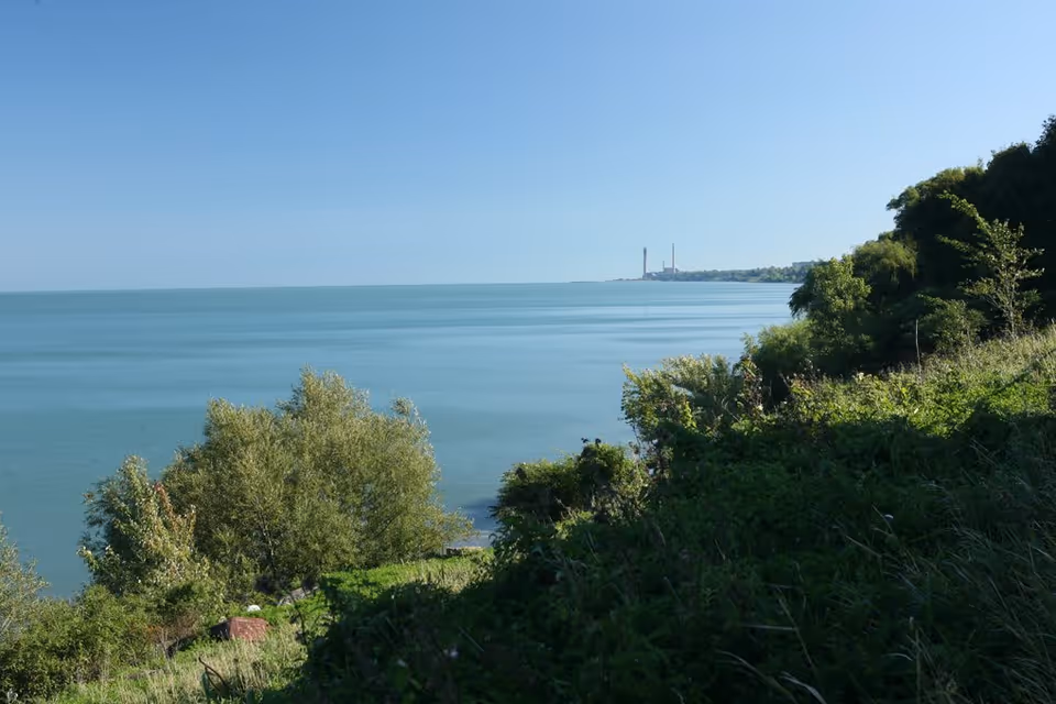 A serene view of a large body of water with a clear blue sky above. The foreground features green bushes and trees along a sloping shoreline. In the distance, there are industrial chimneys visible on the horizon.