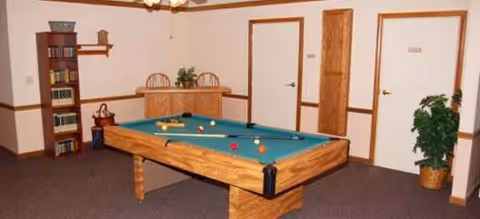 A recreation room with a wooden pool table, bookshelf, doors, and plants.