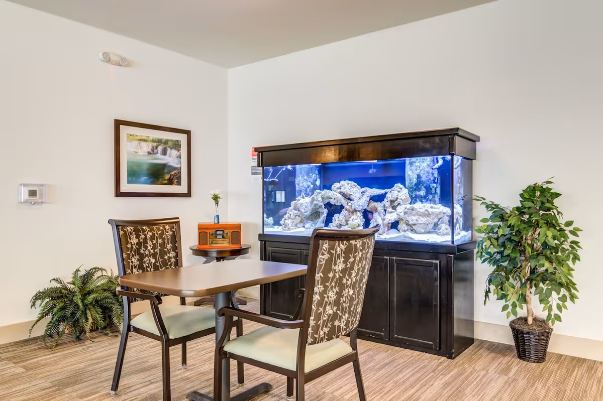 A small seating area with two cushioned chairs and a rectangular table in front of a large aquarium filled with rocks. The room has light-colored walls, a framed picture of a waterfall, a small round side table with a vintage radio and a small vase with a flower, and two potted plants on the floor.