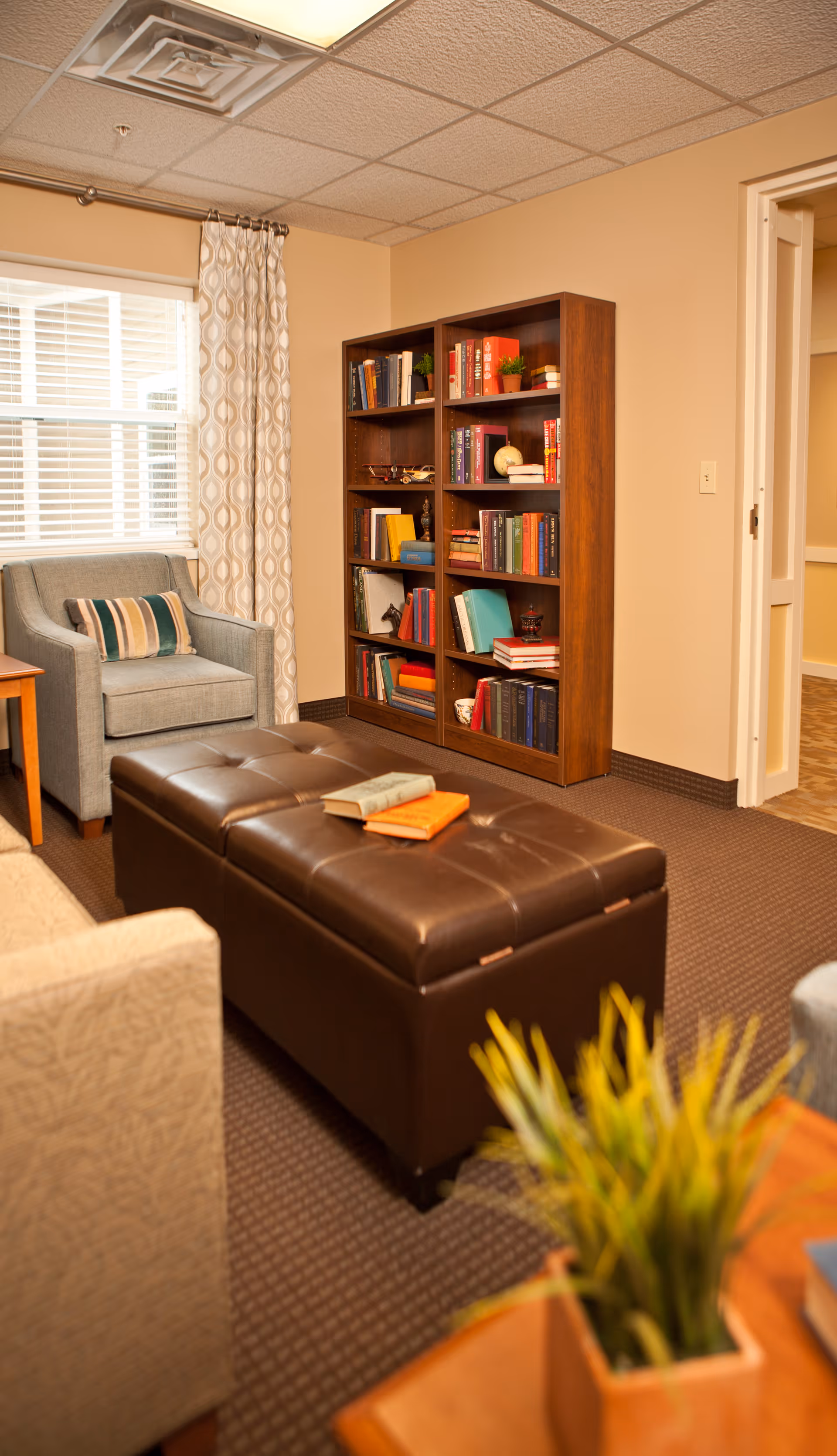 A cozy living room area with a gray armchair next to a window with patterned curtains, a dark brown leather ottoman with books on top, a wooden bookshelf filled with books and decorative items, and a small table with a green plant in the foreground.