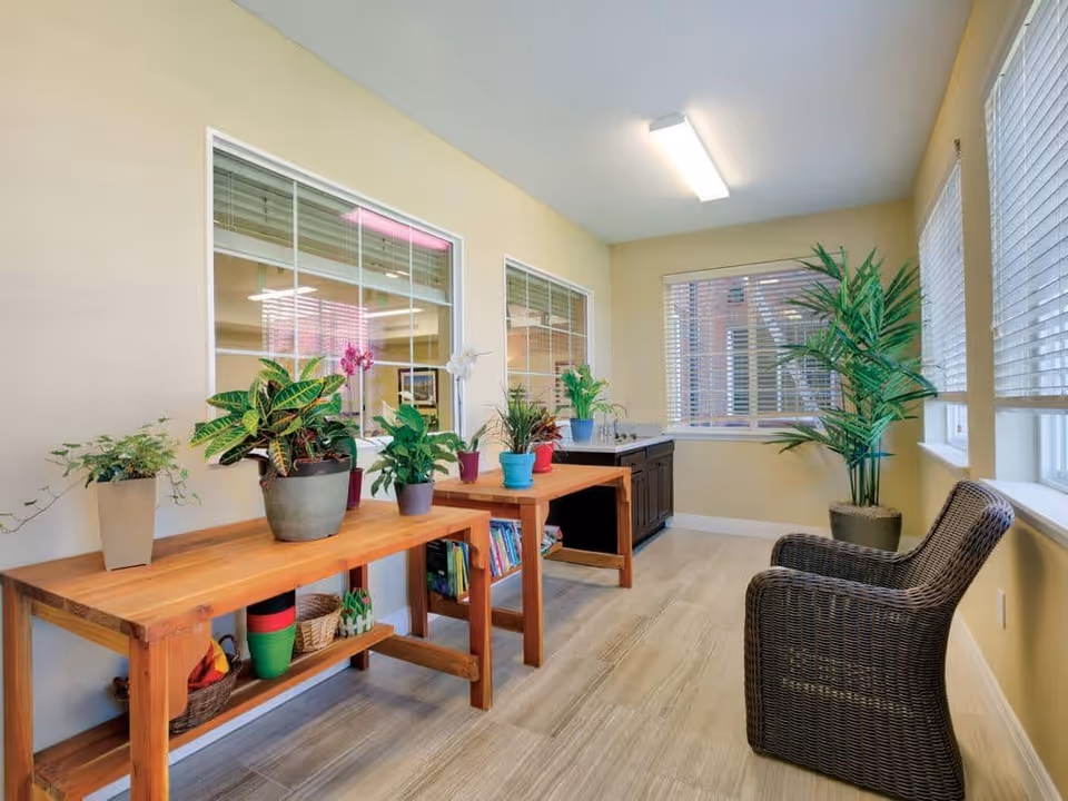 A bright interior room with light yellow walls and large windows with blinds. There are two wooden tables lined up against one wall, each holding several potted plants. Below the tables are baskets and colorful pots. A dark wicker chair is placed near the windows on the right side. The floor is light wood, and a fluorescent light fixture is mounted on the ceiling.