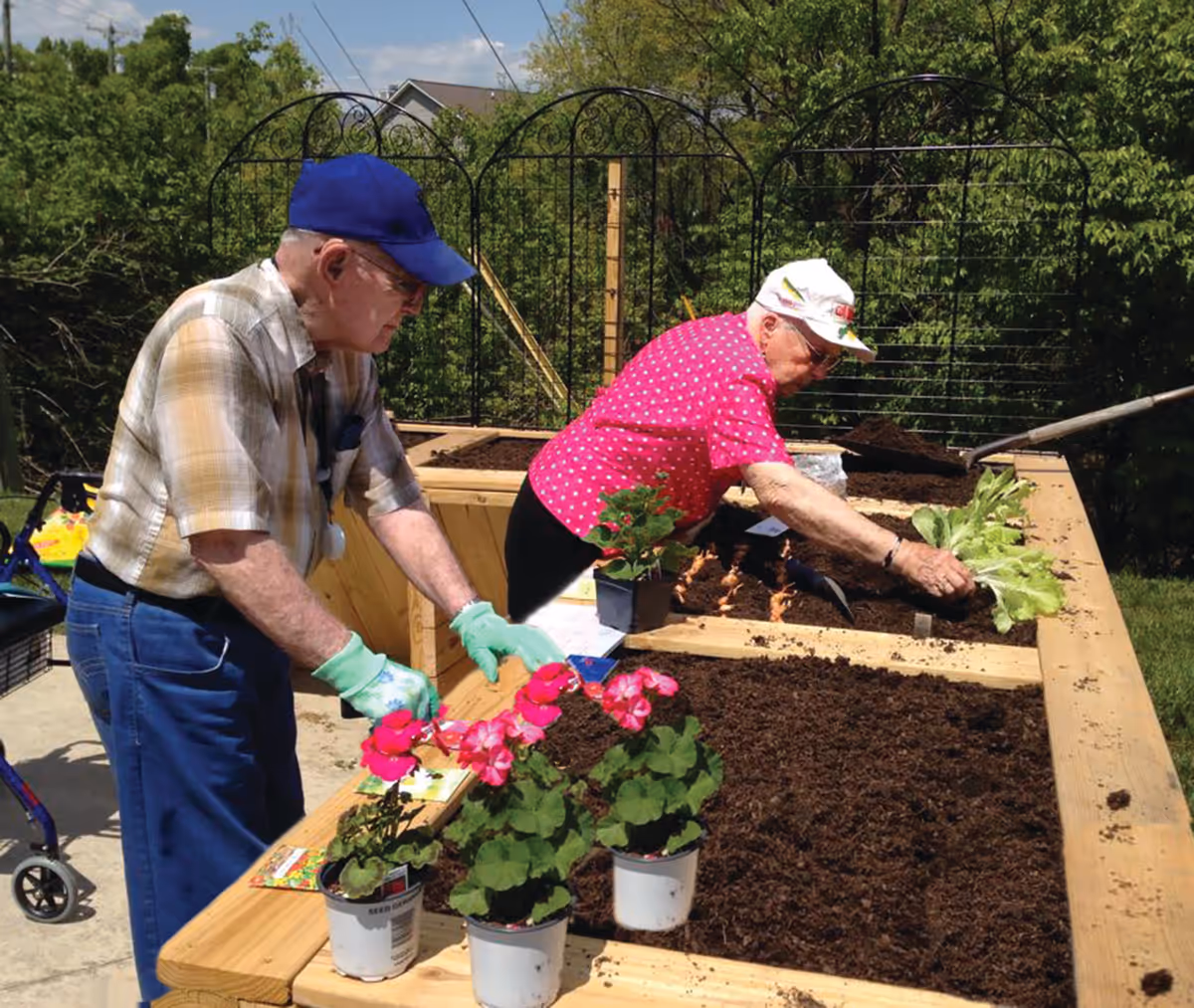 Two elderly individuals gardening outdoors at a raised wooden garden bed. One person wearing a blue cap and plaid shirt is tending to pink flowers, while the other person in a white cap and pink polka dot shirt is planting leafy greens. The background shows green trees and a clear sky.