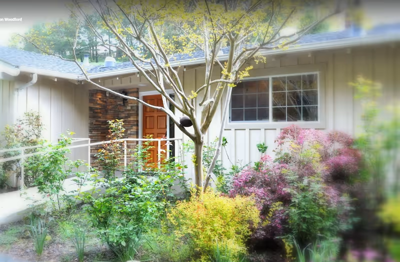 Entrance of a single-story building with a wooden door, large window, and a landscaped garden with shrubs and a small tree.
