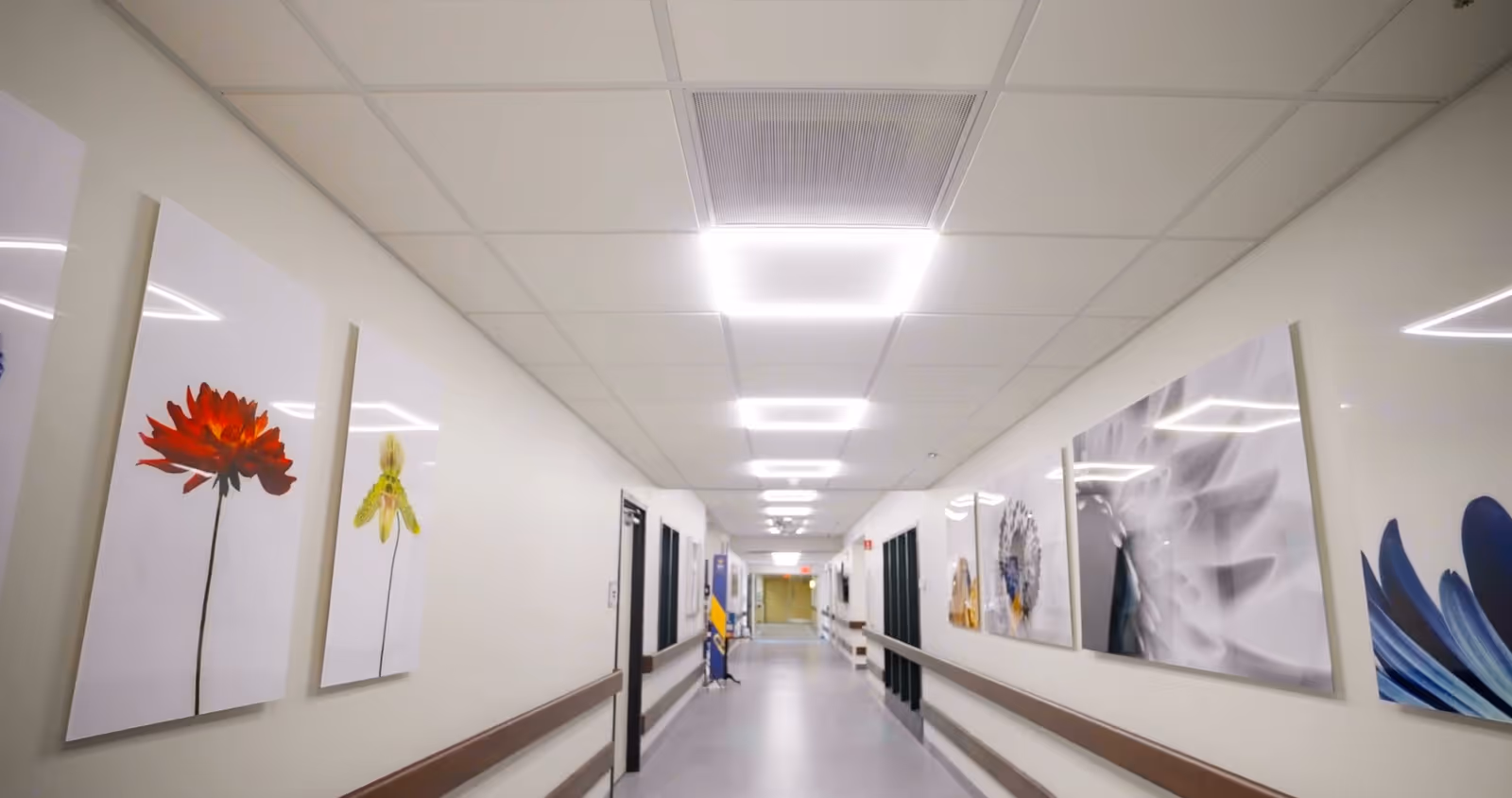 A long, well-lit hallway in a healthcare facility with white walls and ceiling tiles. The walls are decorated with large, colorful floral artwork on both sides. Handrails run along the length of the hallway on both sides. Doors and signage are visible along the corridor.
