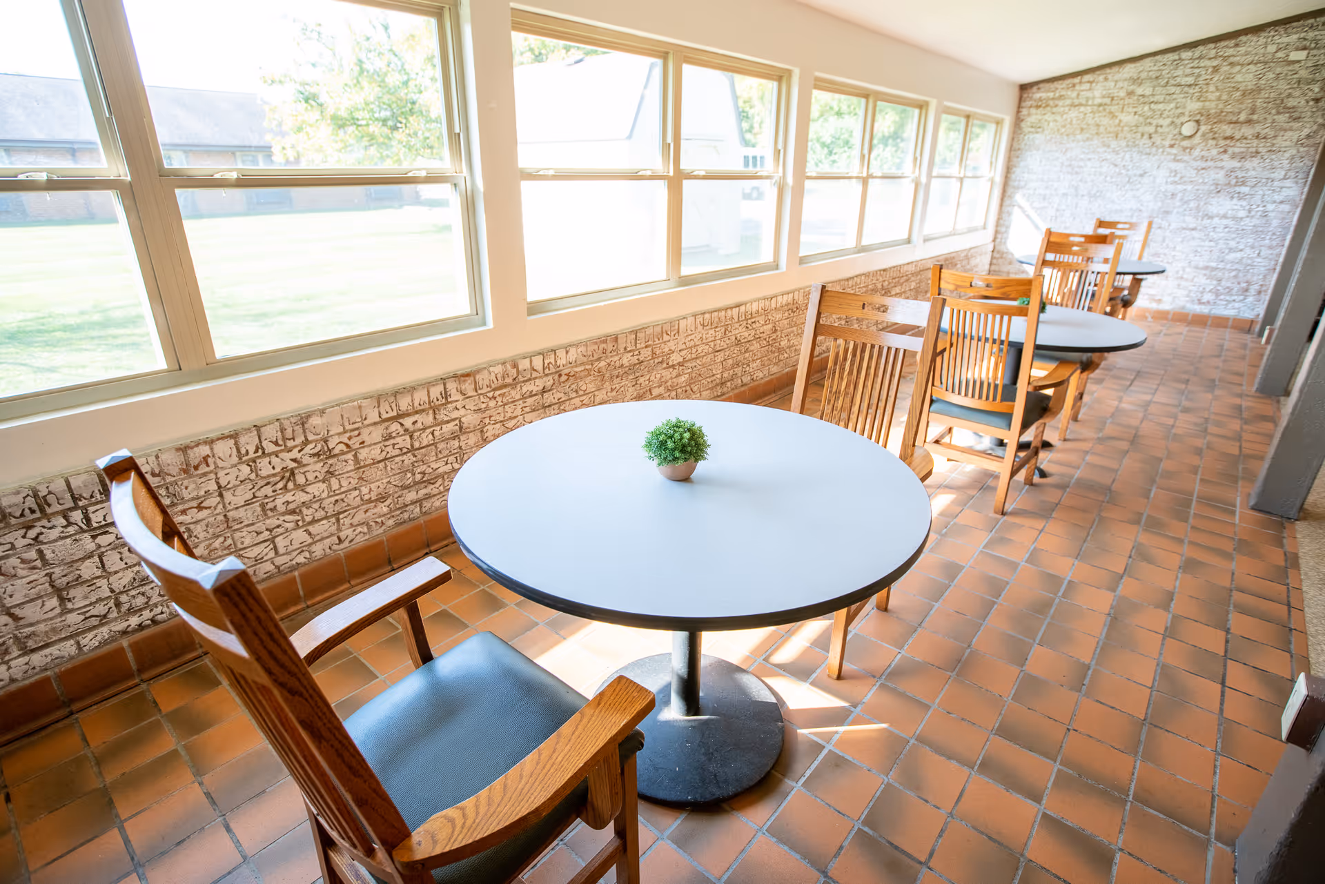 Sunlit seating area with round tables and wooden chairs lined up along a row of windows.