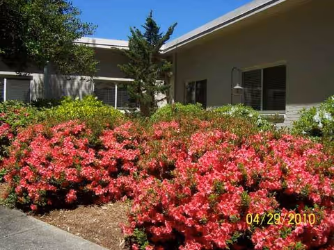 Exterior view of Lancashire Nursing & Rehabilitation Center with pink flowering shrubs.