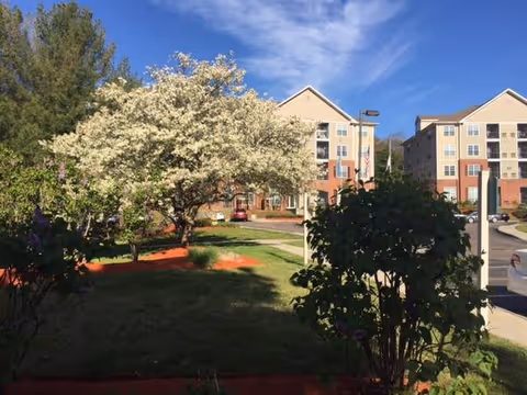 Outdoor view of a senior living facility with a blooming tree, bushes, and a grassy area in the foreground. In the background, there are multi-story residential buildings under a blue sky with some clouds.