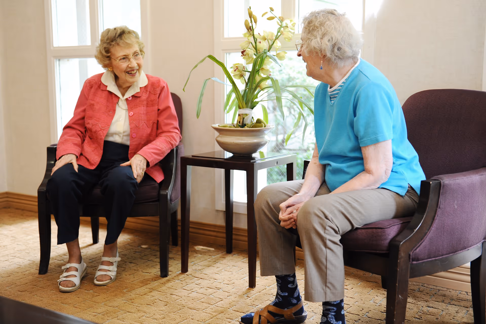 Two elderly women sitting in armchairs facing each other and smiling in a well-lit room with a small table and a potted plant between them.