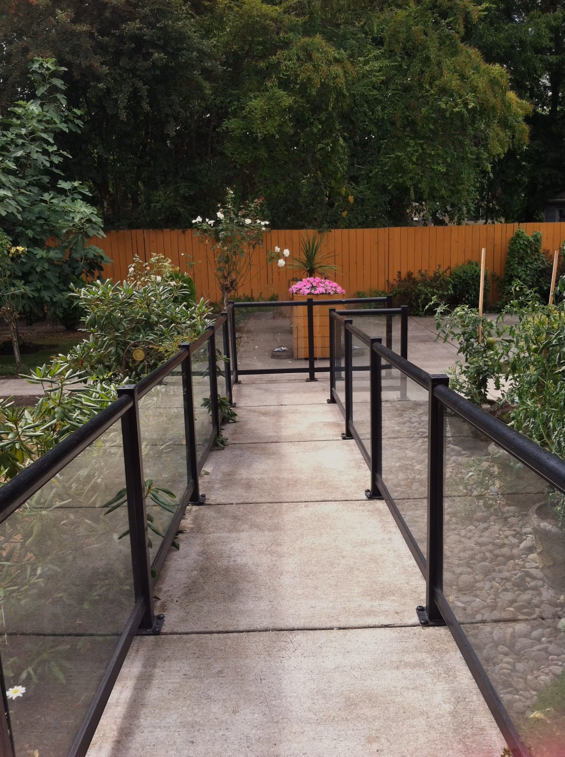 A concrete pathway with black metal and glass railings on both sides, surrounded by green plants and flowers. In the background, there is a wooden fence and trees providing shade.