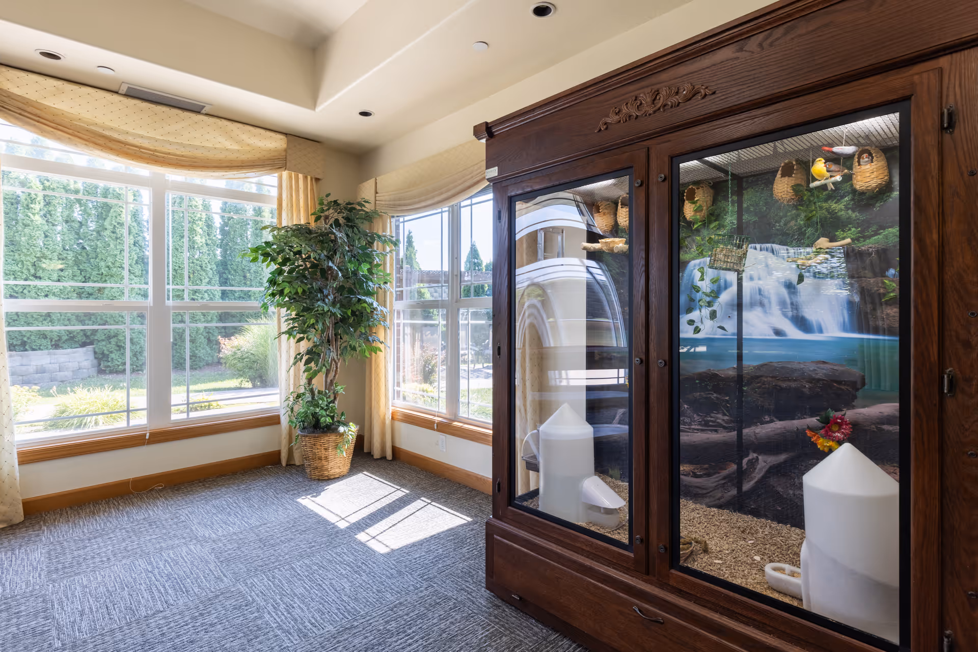 Sunlit interior corner with large bay windows, a potted plant, and a wooden glass-fronted enclosure displaying a nature backdrop.