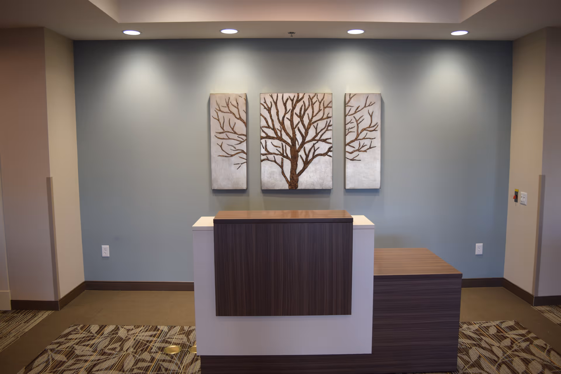 A modern reception desk with a wood finish in front of a light blue wall. Above the desk are three vertical panels of artwork depicting a tree with bare branches. The floor has a patterned carpet, and the ceiling has recessed lighting.