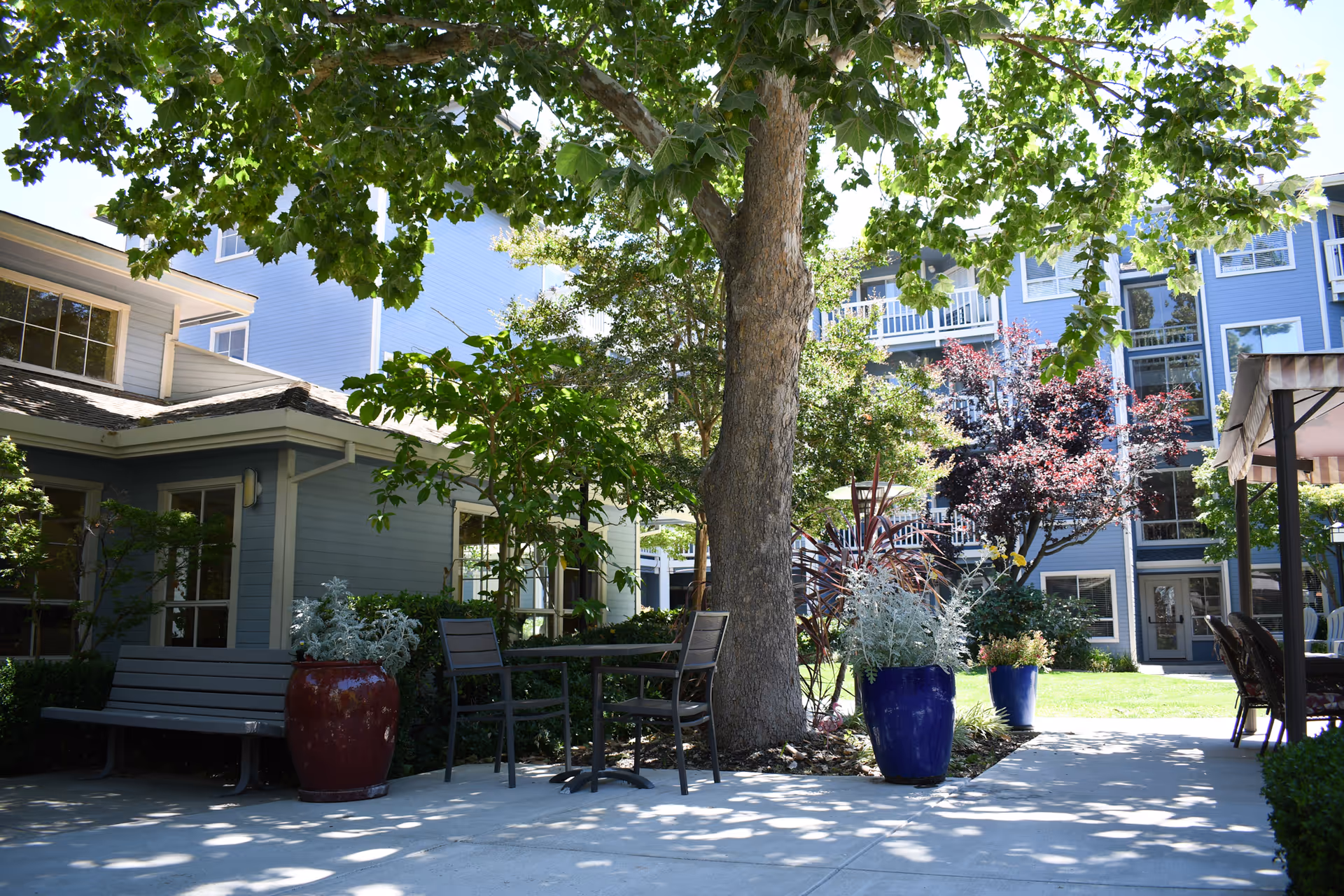 Outdoor courtyard area at Carlton Concord featuring a large tree providing shade over a concrete patio with benches, tables, and chairs. The surrounding buildings are painted blue with white trim, and there are various potted plants and shrubs adding greenery to the space.