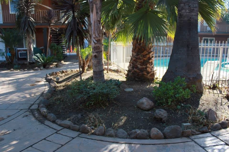 Outdoor area of a senior living facility with a curved stone-bordered garden bed containing palm trees and small shrubs. In the background, there is a fenced swimming pool and a multi-story building with balconies and an external staircase.