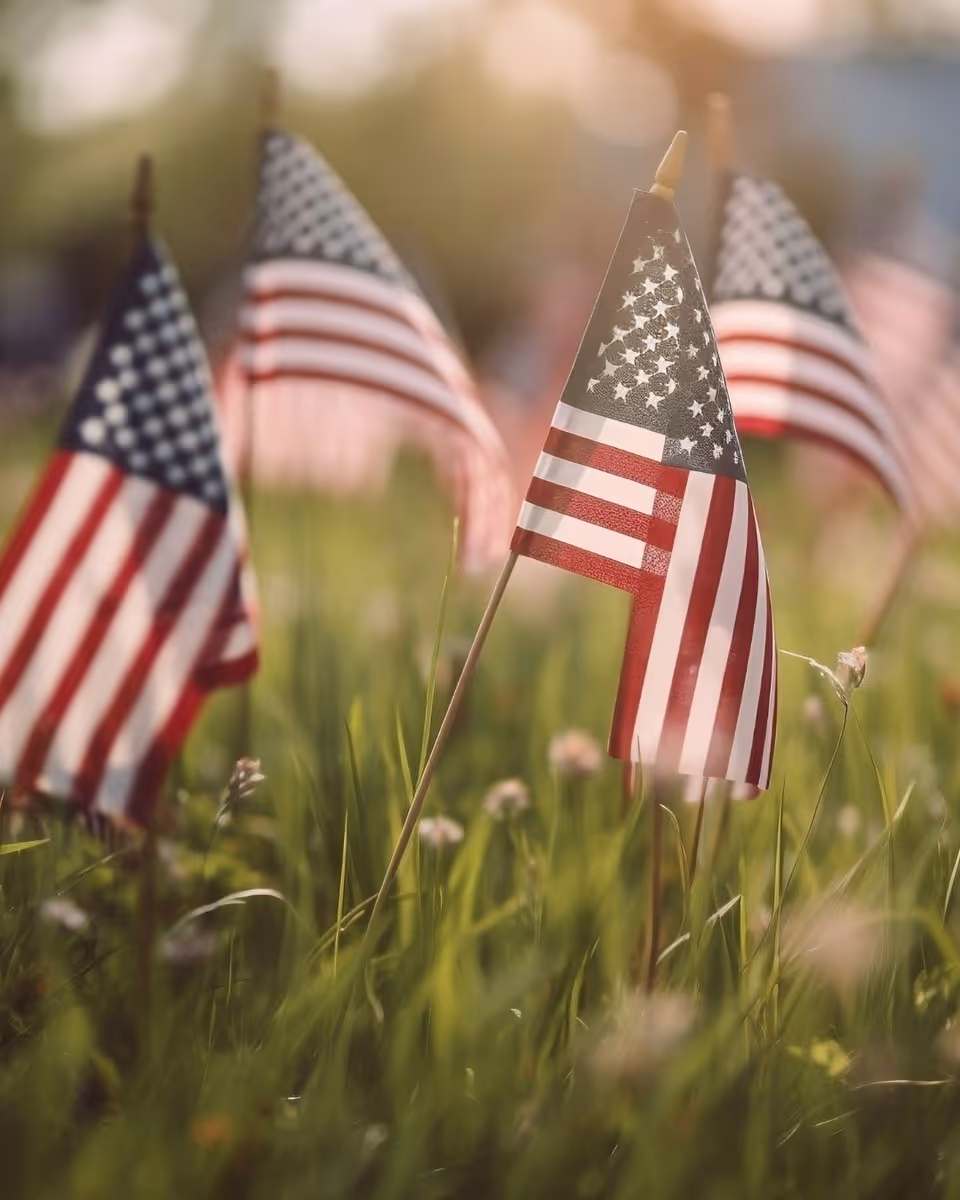 Small American flags on sticks placed in a grassy field with sunlight and blurred flags in the background.