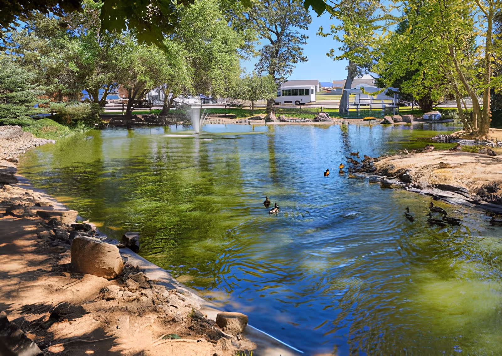 A serene outdoor pond surrounded by trees and greenery with a few ducks swimming on the water. There is a small fountain in the middle of the pond and a clear blue sky overhead. In the background, there are some buildings and a white fence.