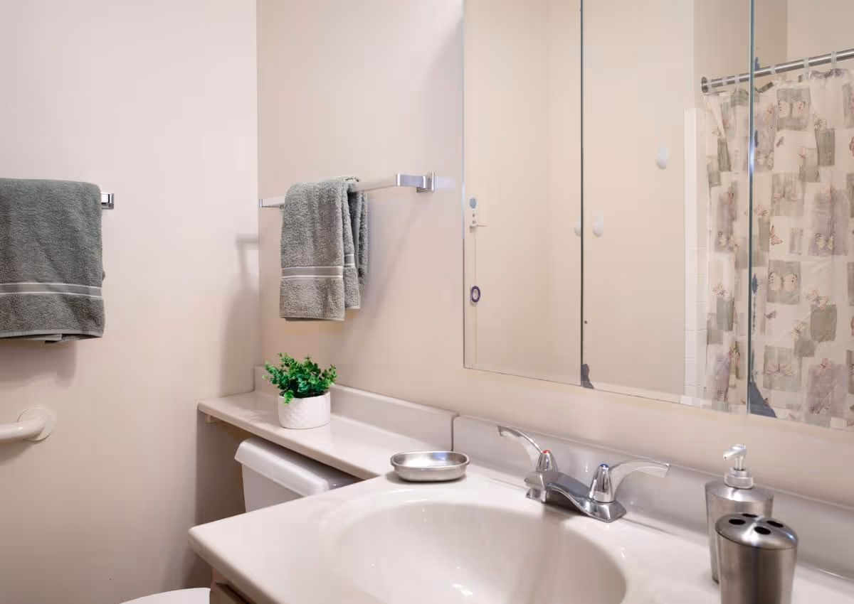 Bathroom vanity with sink, mirror, towel racks, and a shower curtain.