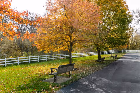 A peaceful outdoor area with a paved pathway alongside a grassy lawn. Several benches are placed under trees with autumn-colored leaves. A white wooden fence runs along the edge of the lawn.