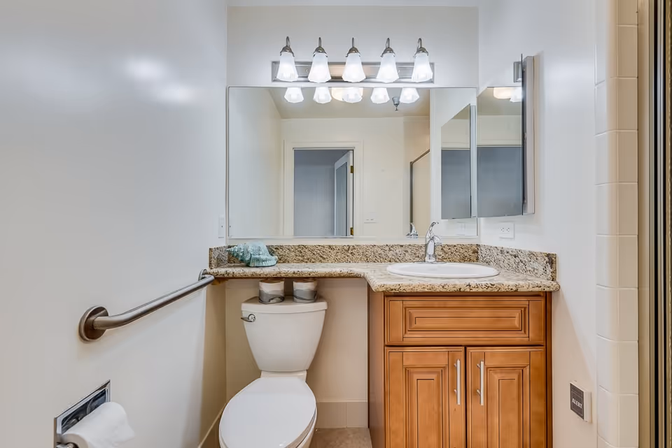 A clean and modern bathroom featuring a white toilet with two rolls of toilet paper on top, a granite countertop with a built-in sink, wooden cabinetry below, a large mirror above the sink, and a wall-mounted light fixture with five lights. There is a metal grab bar on the left wall and a shower area visible on the right side.