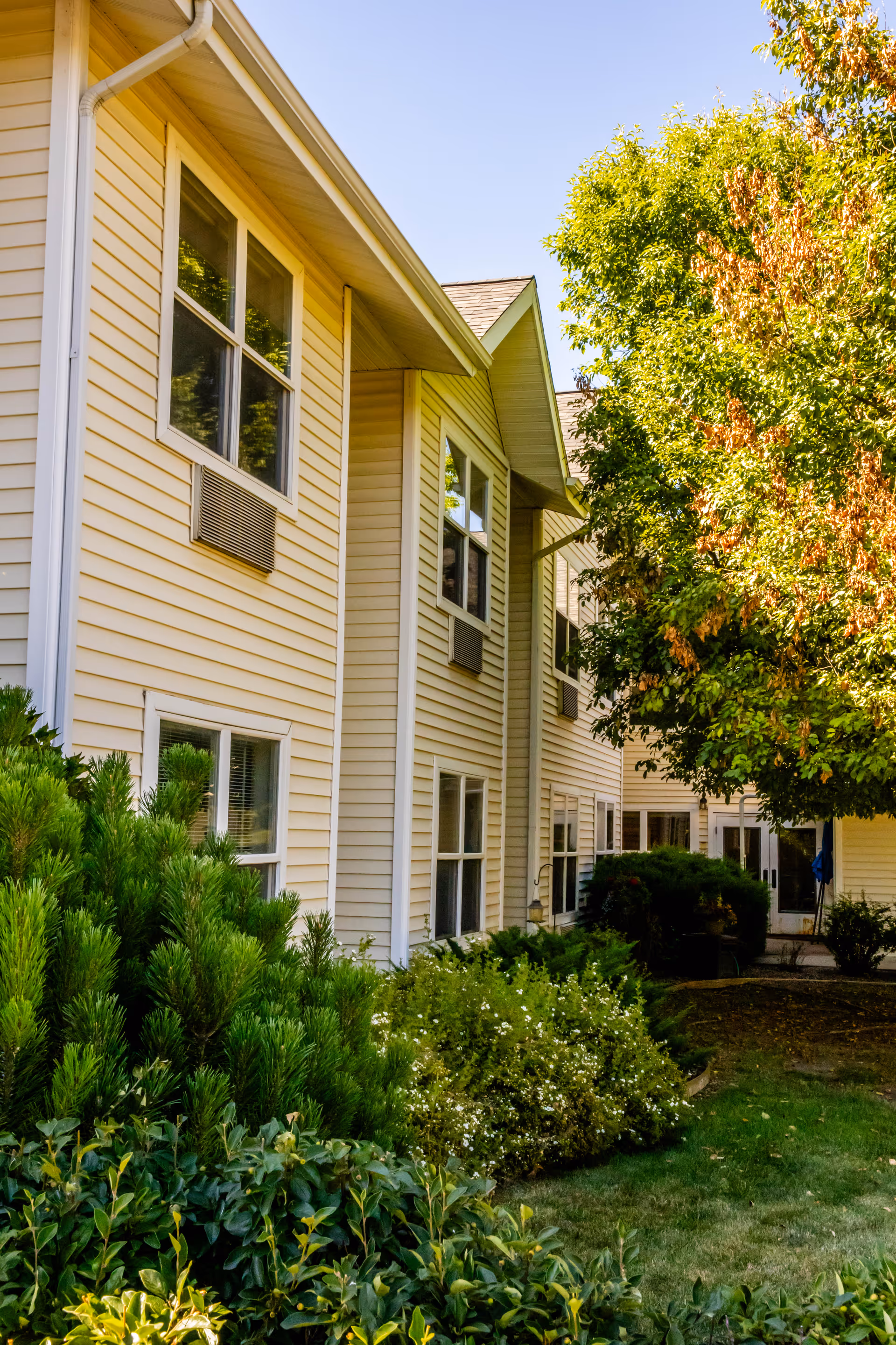Exterior view of a beige two-story building with multiple windows, surrounded by green shrubs and trees under a clear blue sky.