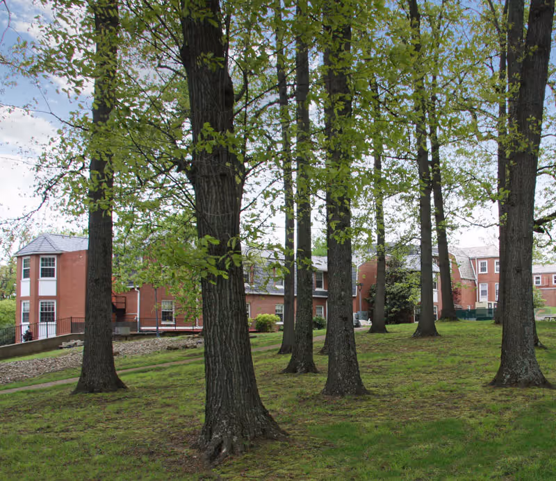 Grassy outdoor area with several large trees in the foreground and a brick senior living building in the background.