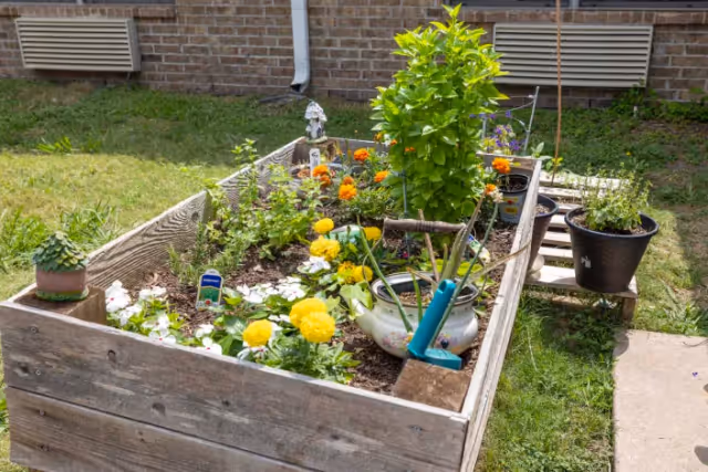 An outdoor scene with a wooden raised garden bed filled with flowers and several potted plants beside a brick building.