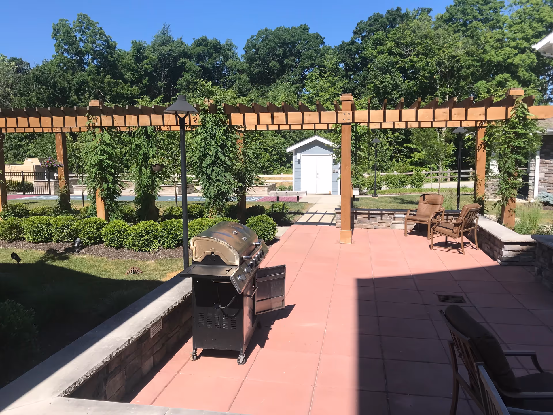 Outdoor patio area with a barbecue grill, wooden pergola with climbing plants, two brown chairs, and a small white shed in the background surrounded by green trees and bushes under a clear blue sky.