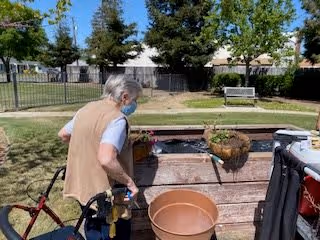 An elderly person wearing a face mask and using a walker is tending to a garden area outdoors. There are wooden planter boxes with plants and a large empty terracotta pot in front. The background shows a fenced grassy area with trees and a bench.