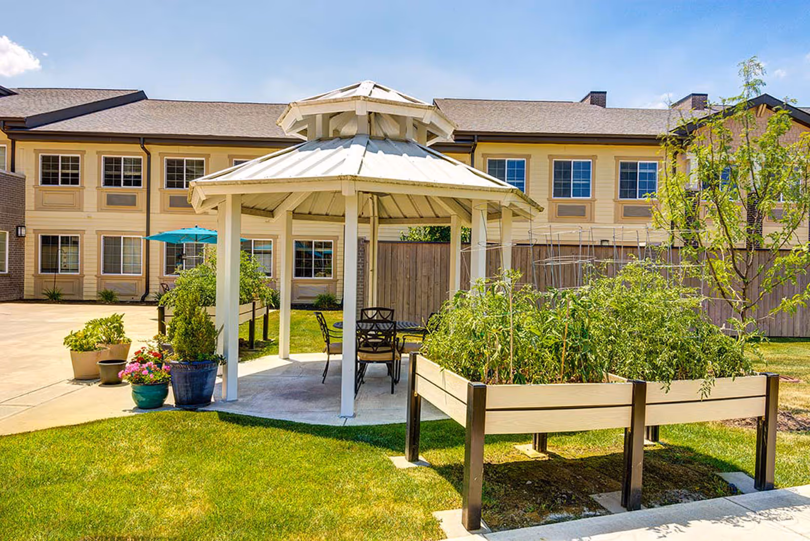 Outdoor garden area at Independence Village of Carmel featuring a white gazebo with a metal roof, surrounded by potted plants and raised garden beds with green plants. A building with multiple windows is visible in the background under a clear blue sky.