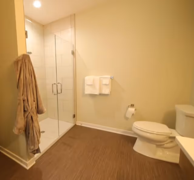 Bathroom with a glass-enclosed shower, towel rack, toilet and a hanging bathrobe.