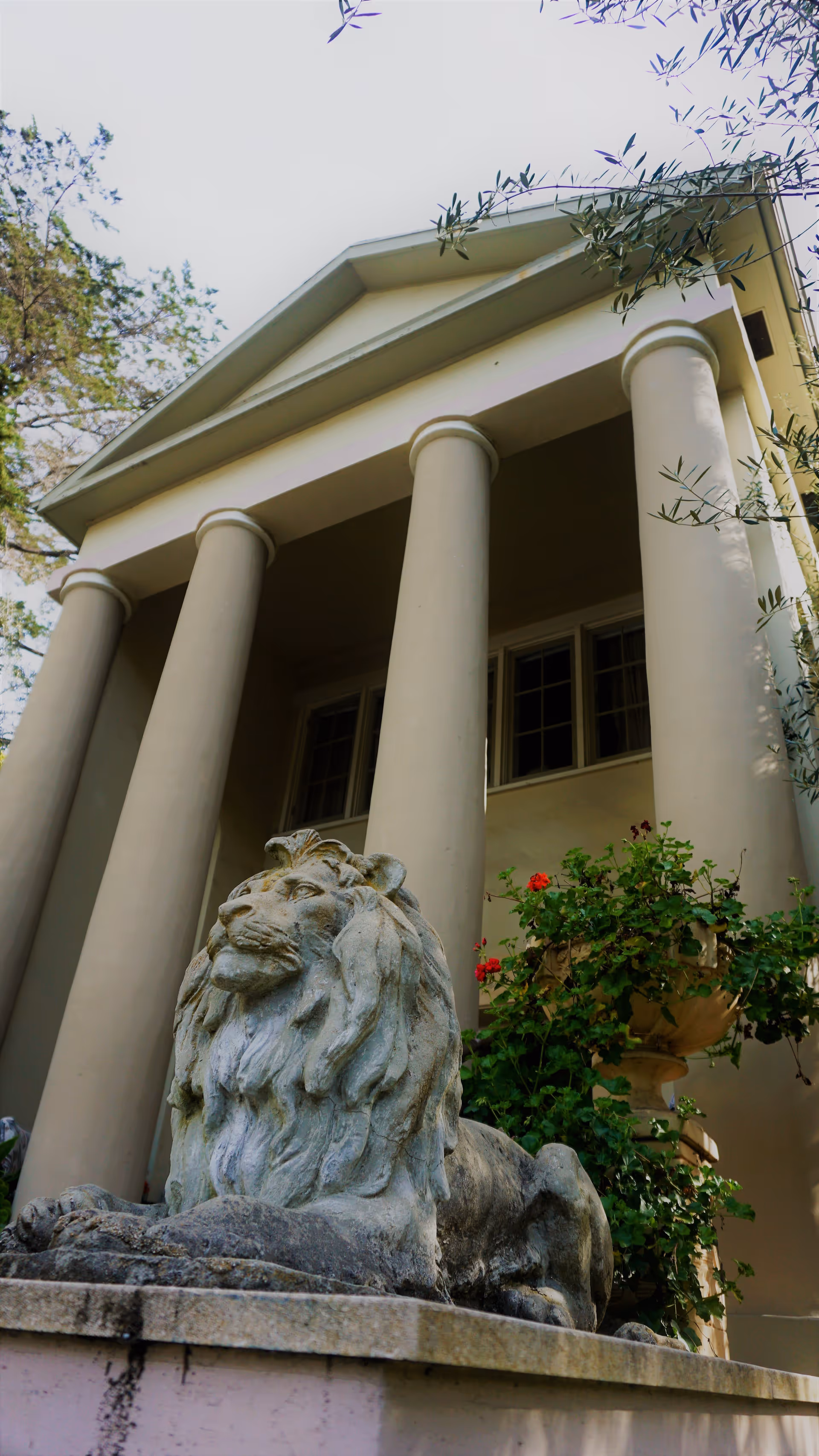 Stone lion statue in front of a building with tall columns and a triangular pediment, surrounded by greenery and flowers.