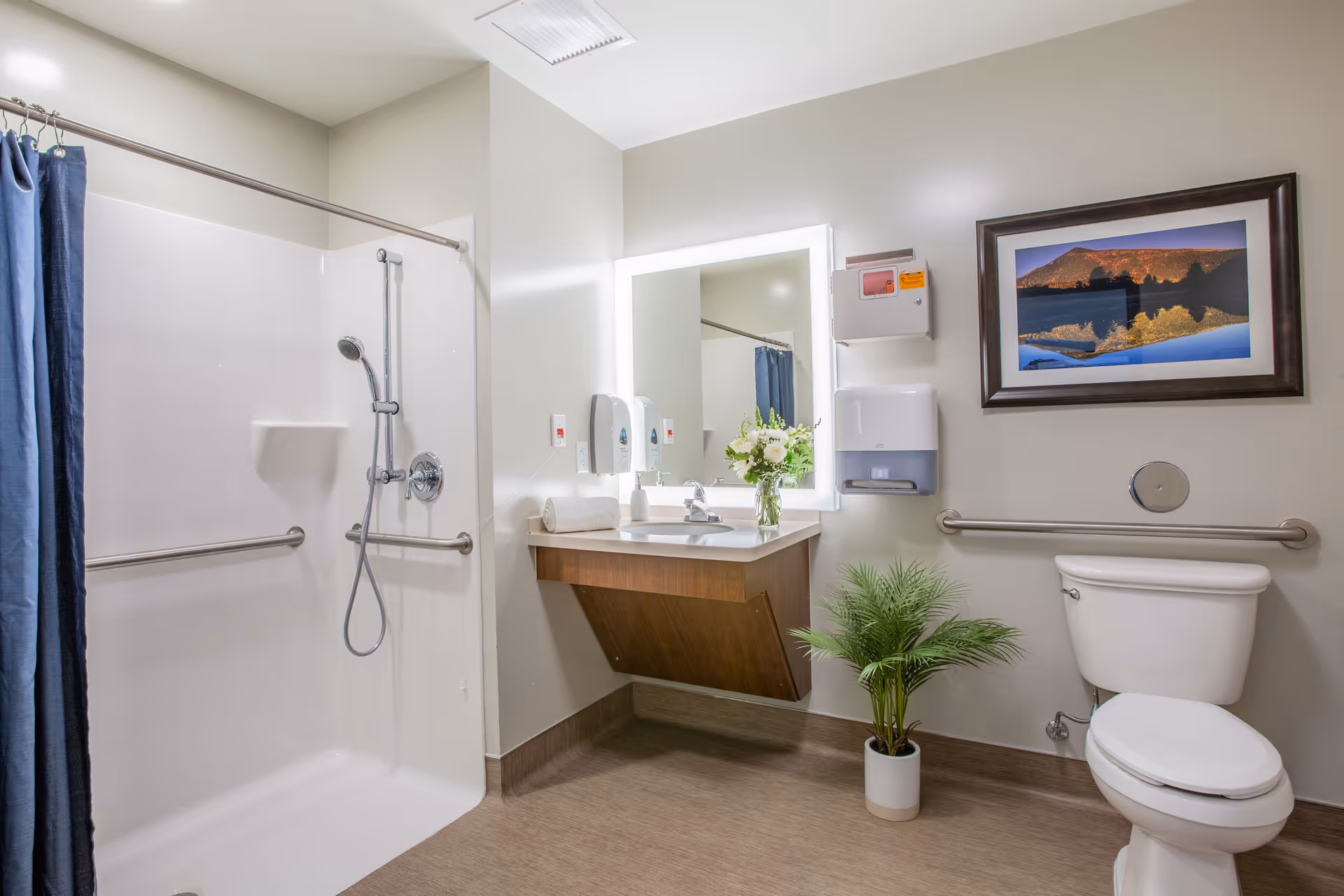 Accessible bathroom with a walk-in shower, sink and toilet with grab bars, a lit mirror and a potted plant.