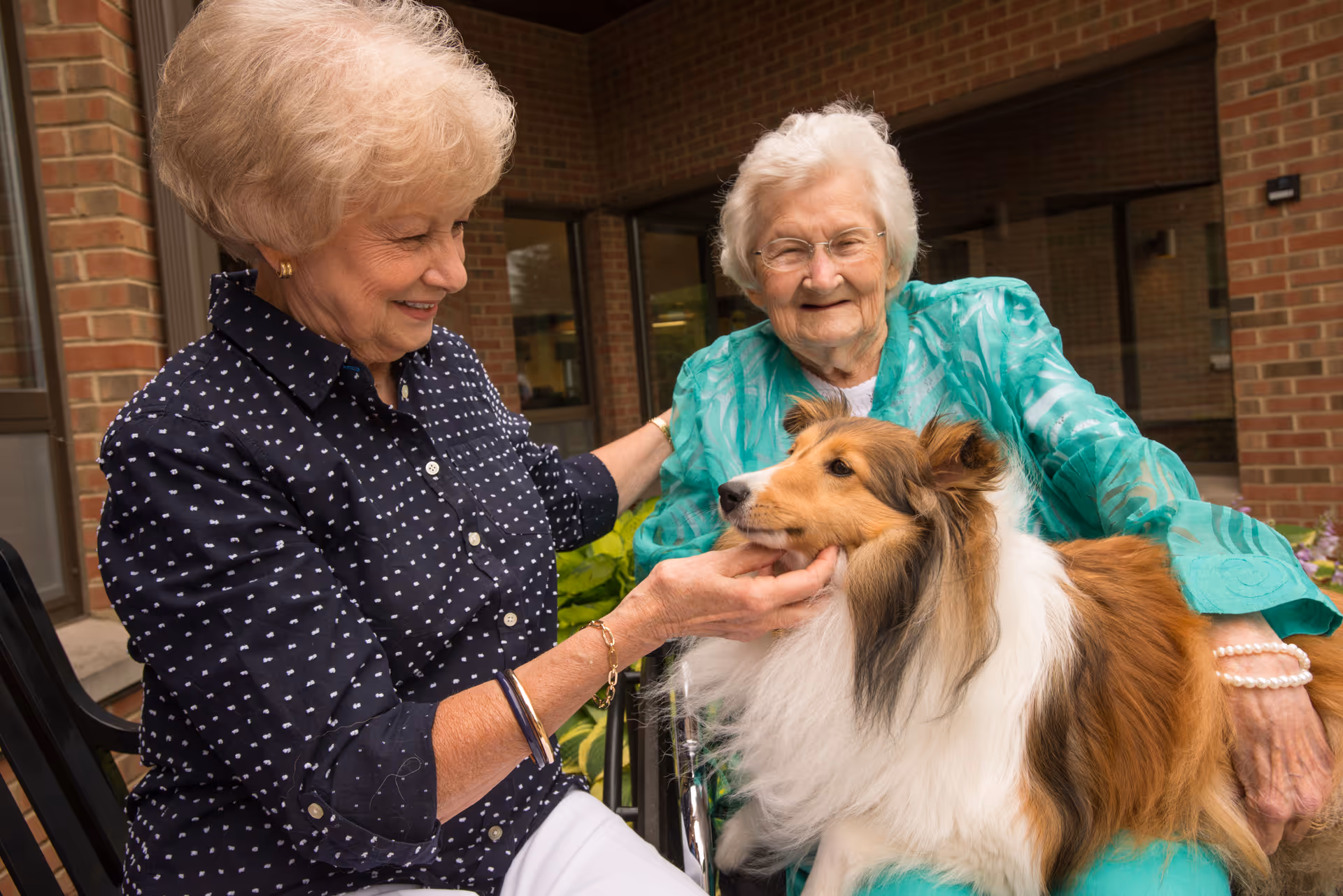 Two elderly women sitting outside near a brick building, one in a wheelchair wearing a green jacket, the other in a navy blue polka dot shirt petting a fluffy brown and white dog.