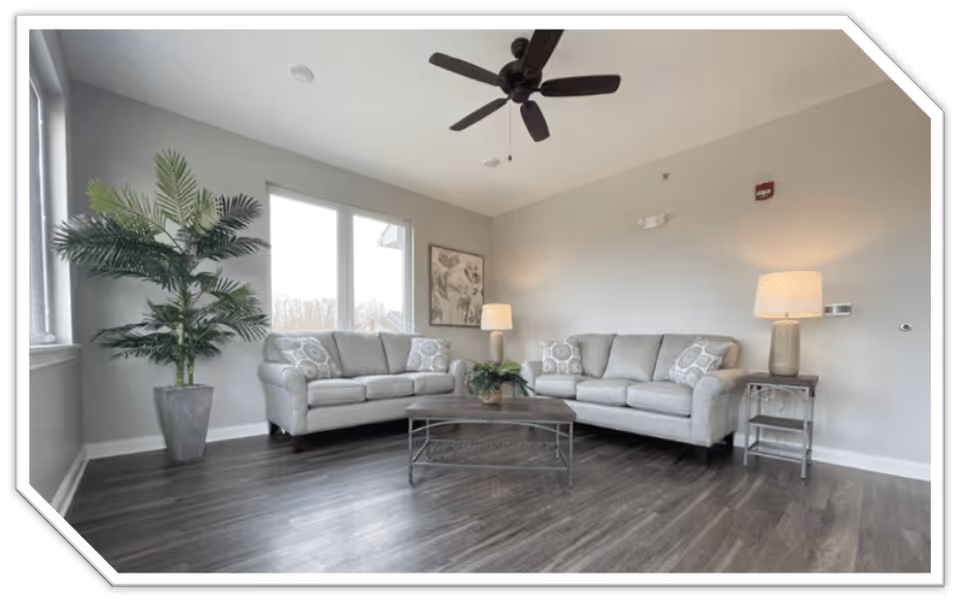 A bright and modern living room with two light gray sofas facing each other, a wooden coffee table in the center, a large potted plant near the window, two table lamps on side tables, and a ceiling fan above. The room has large windows letting in natural light and light-colored walls.