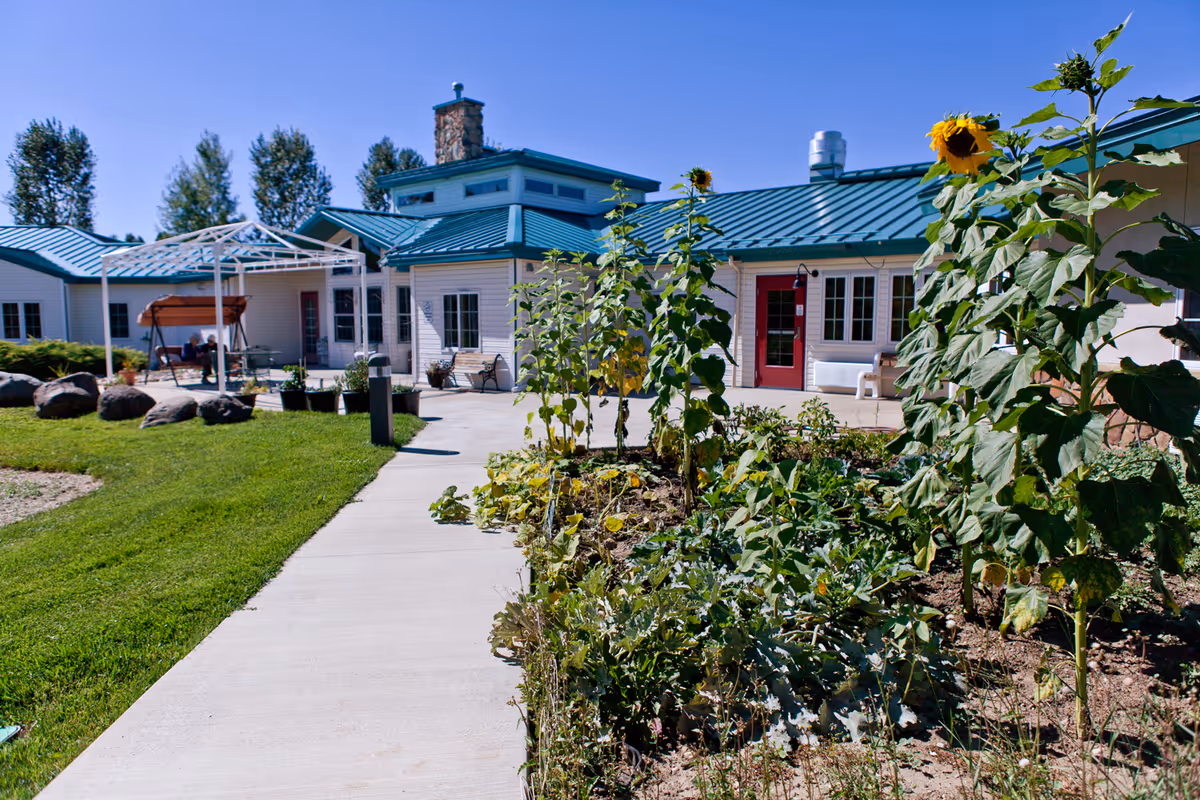 Outdoor garden area with sunflowers and other plants along a concrete pathway leading to a building with a green metal roof and red doors under a clear blue sky. There is a white pergola with a swing and some benches near the building.