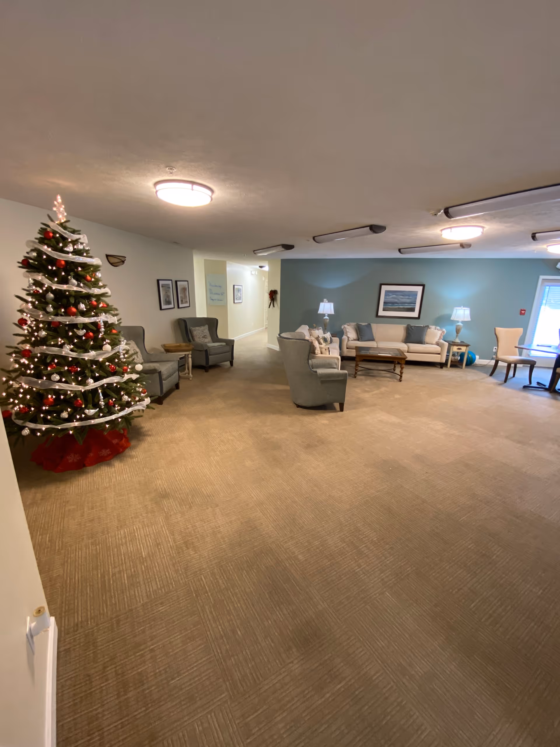 Furnished communal lounge area with sofas, armchairs, lamps, and a decorated Christmas tree.